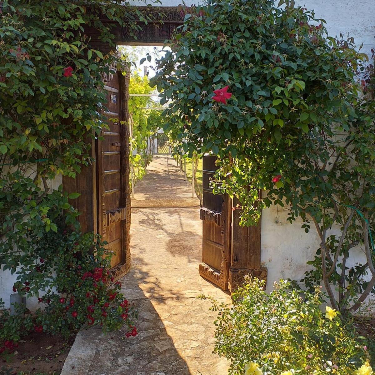 Bed and Breakfast Masseria Boezio Ostuni Torre Santa Sabina Exterior foto