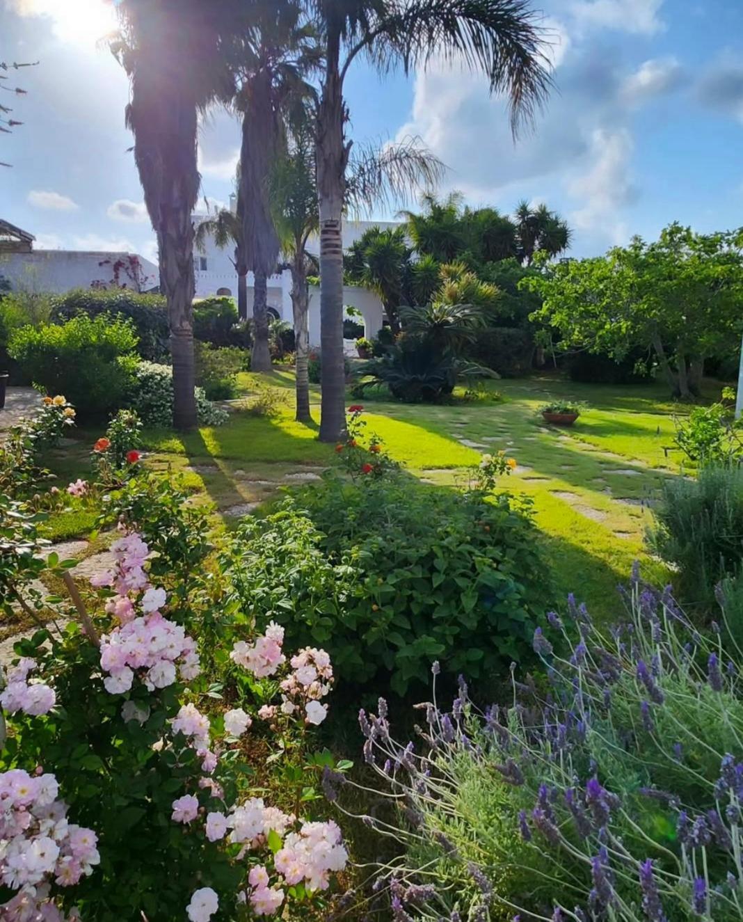 Bed and Breakfast Masseria Boezio Ostuni Torre Santa Sabina Exterior foto